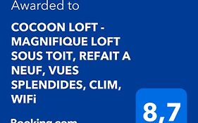Cocoon Loft - Magnifique Loft Sous Toit, Refait A Neuf, Vues Splendides, Clim, Wifi